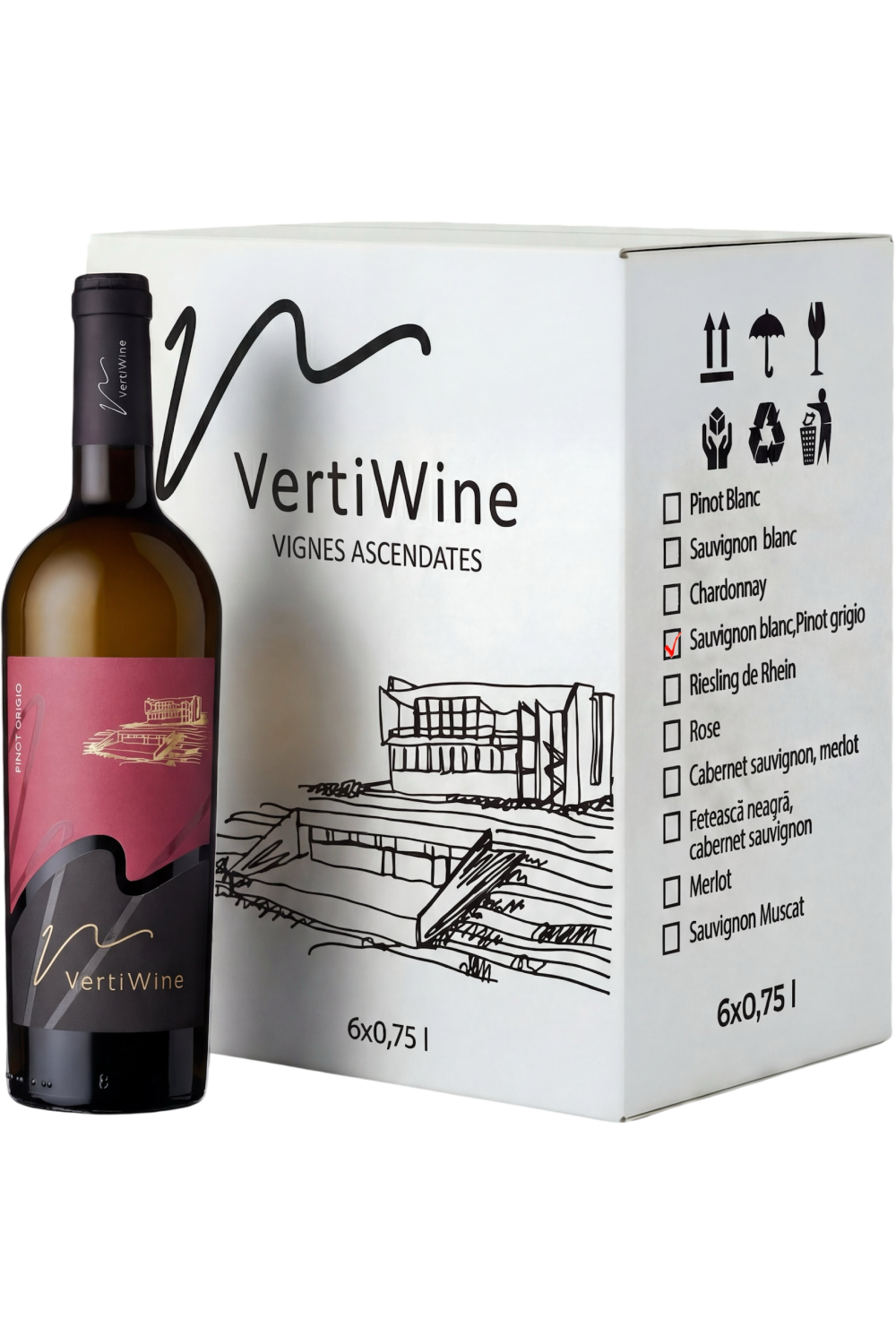 Pinot Grigio 2024 Box