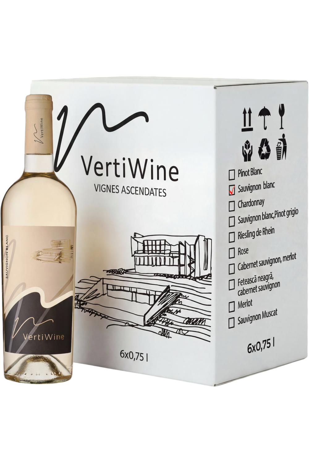 Sauvignon Blanc 2024 Box